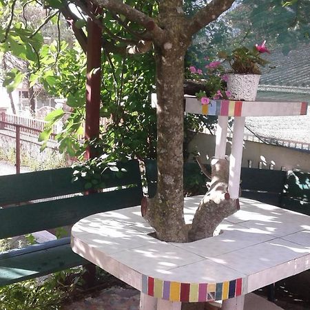 Apartmán Eleni Tivat Exteriér fotografie
