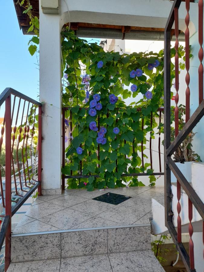 Apartmán Eleni Tivat Exteriér fotografie